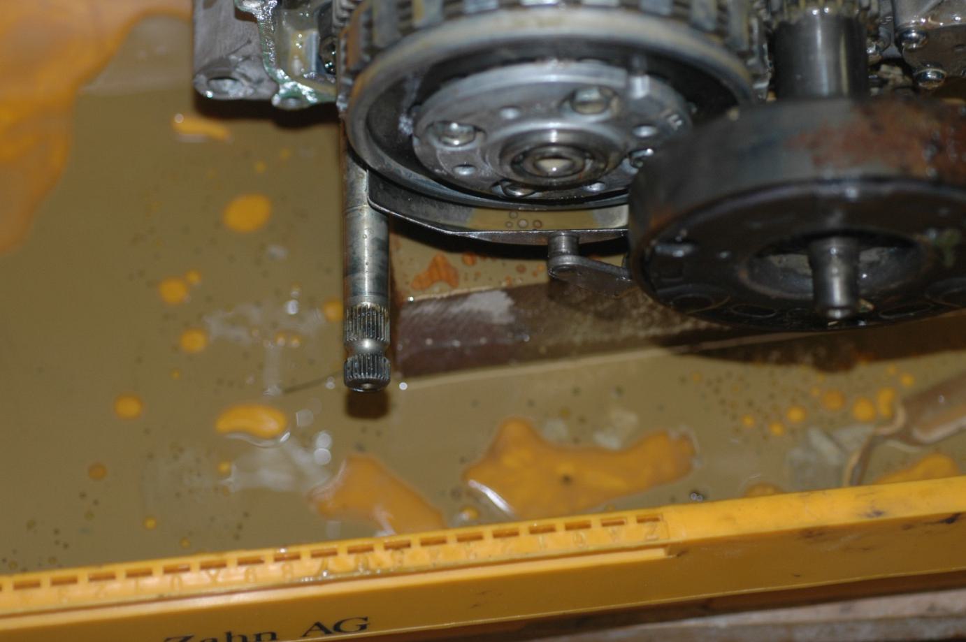 DSC_7996.JPG