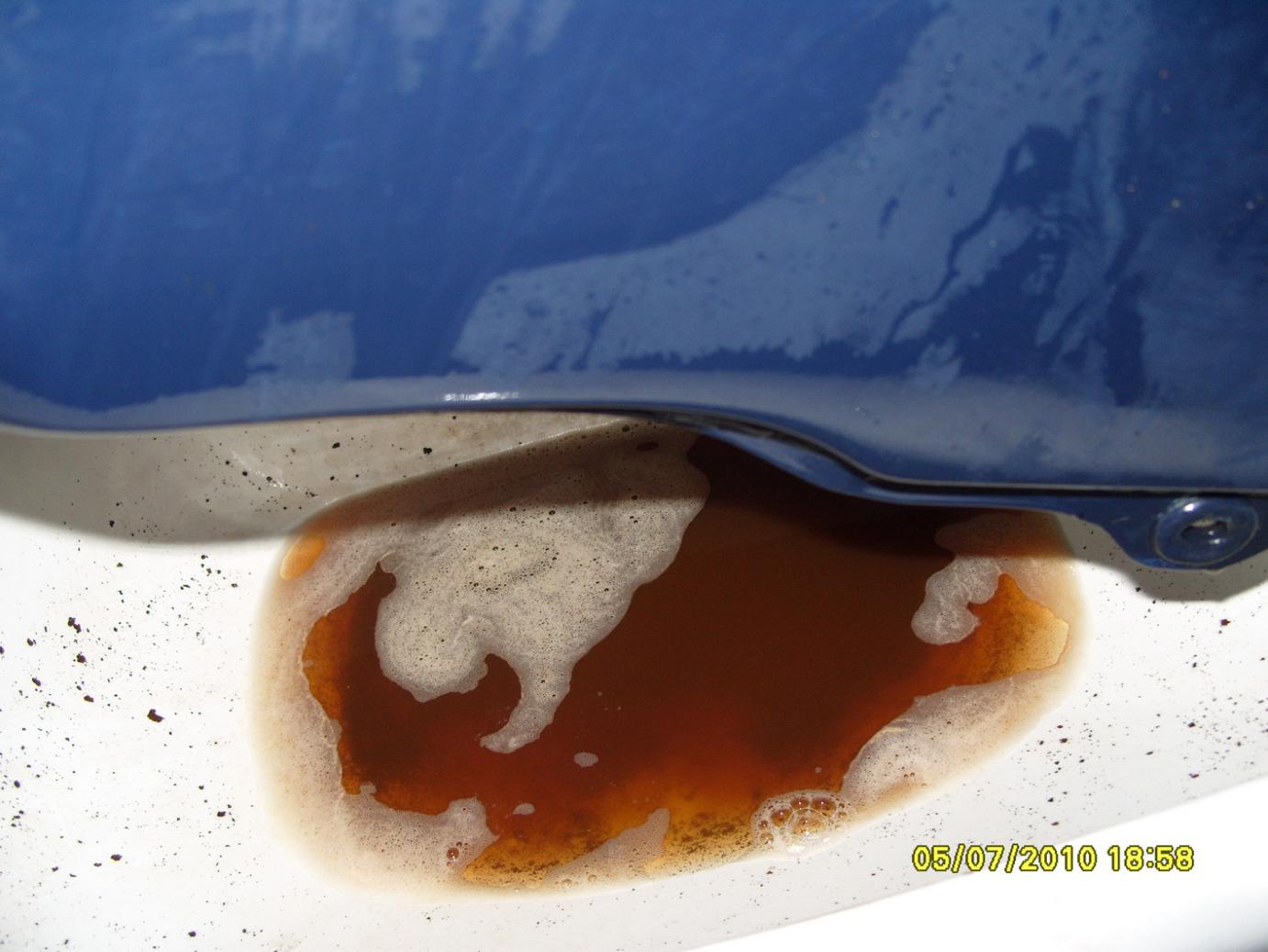 S1050922kl.jpg