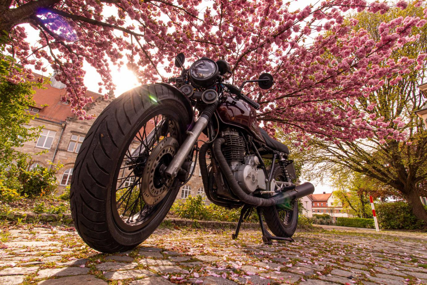 XBR500-60.jpg